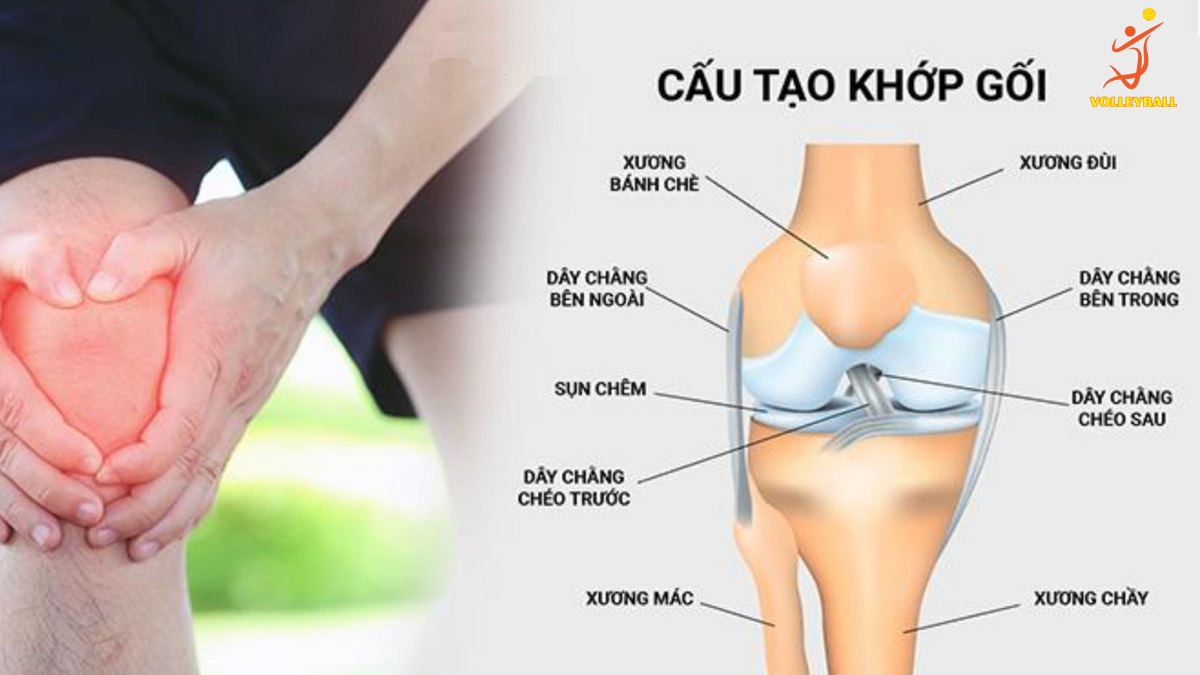 Chấn thương đầu gối khi chơi thể thao.