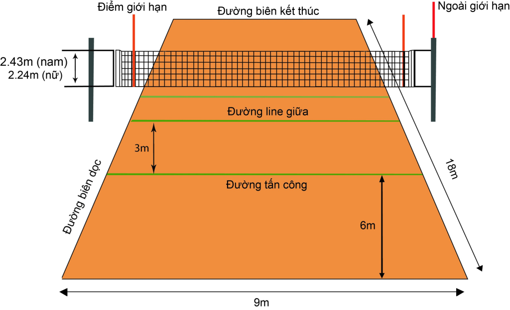 Chiều cao, kích thước lưới bóng chuyền hiện nay là bao nhiêu, giá cả ra sao?