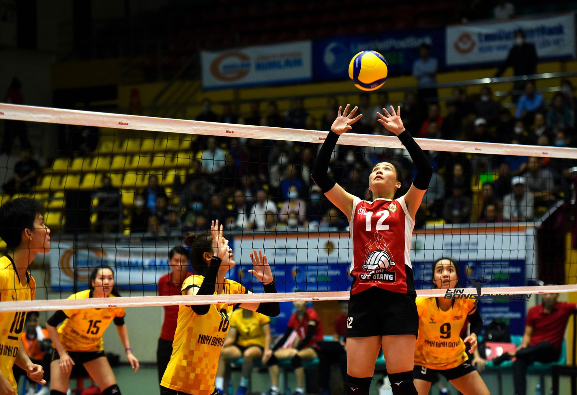 Chơi bóng rổ có cao không? chơi bóng rổ có cao không