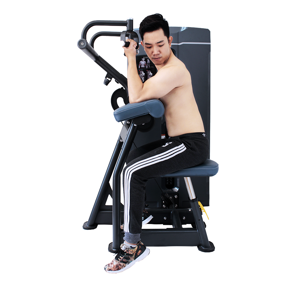 Phân loại dụng cụ tập gym theo nhóm cơ tập luyện