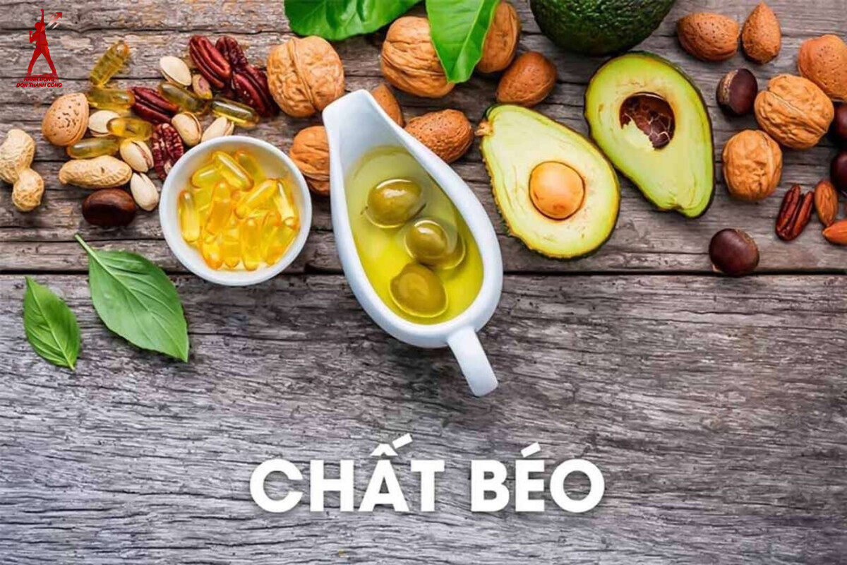 Chất béo có vai trò vô cùng quan trọng