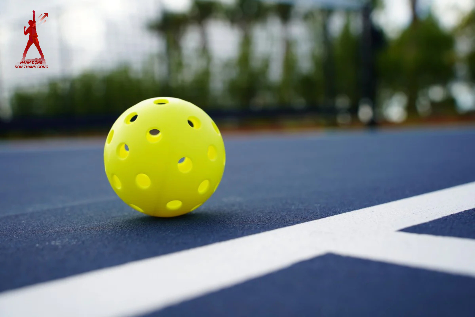 Pickleball chỉ mới gia nhập và được chơi phổ biến tại Việt Nam vào năm 2024.