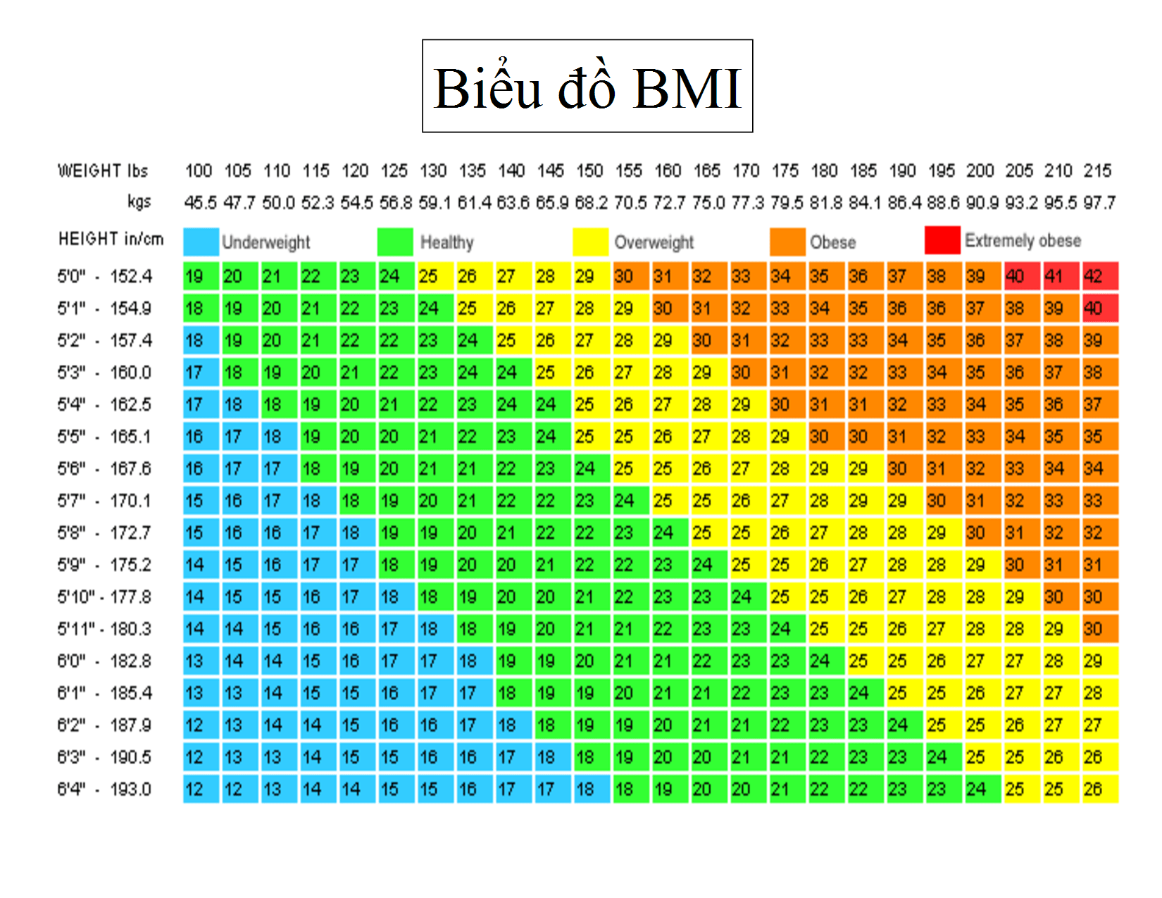 Cách tính chỉ số BMI thừa cân, thiếu cân hay béo phì