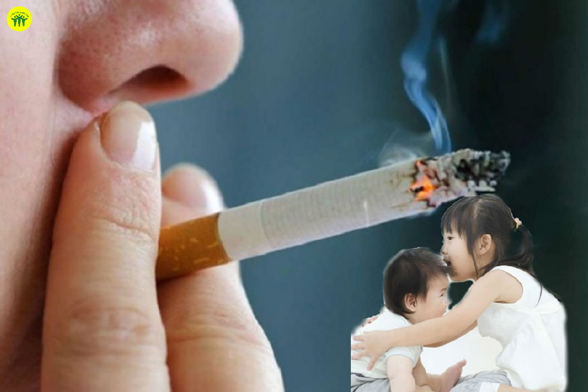 Đặc biệt, khói thuốc lá là các tác nhân chính ảnh hưởng đến chiều cao của trẻ em và thanh thiếu niên