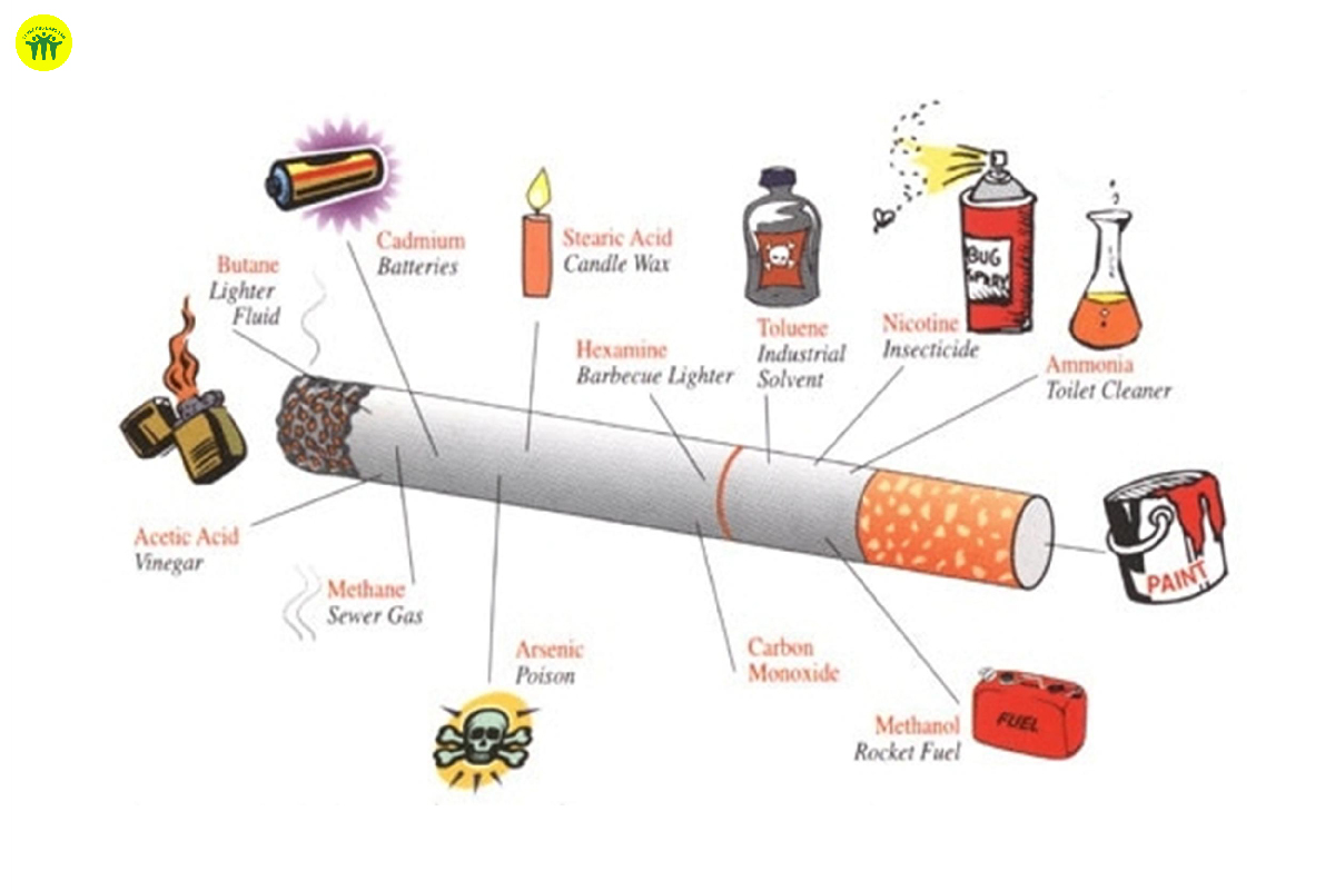 Thuốc lá được biết đến là một sản phẩm chứa nhiều chất gây nguy hiểm cho sức khỏe nhất