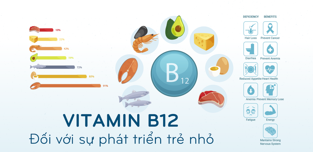 Vitamin B12 Có Tác Dụng Gì?