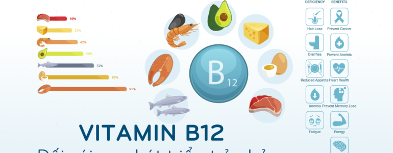 Vitamin B12 Có Tác Dụng Gì?