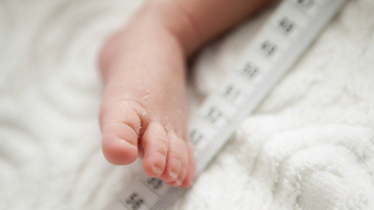 Nếu chỉ số đo nằm trong vùng trung bình nghĩa là bé đang phát triển đạt chuẩn Nếu chỉ số đo nằm trong vùng trung bình nghĩa là bé đang phát triển đạt chuẩn