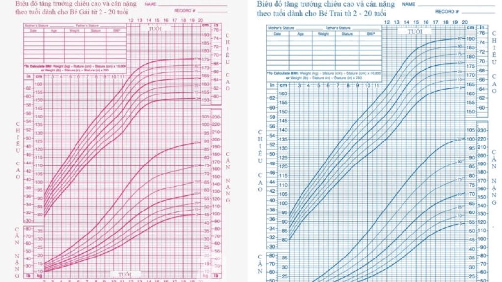 Phương pháp đường cong