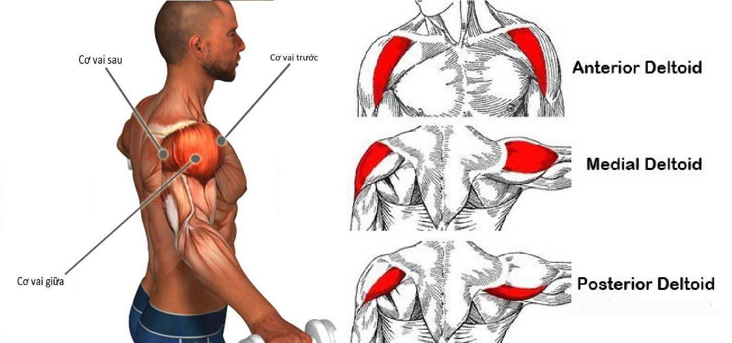 Khó chịu khi vận động