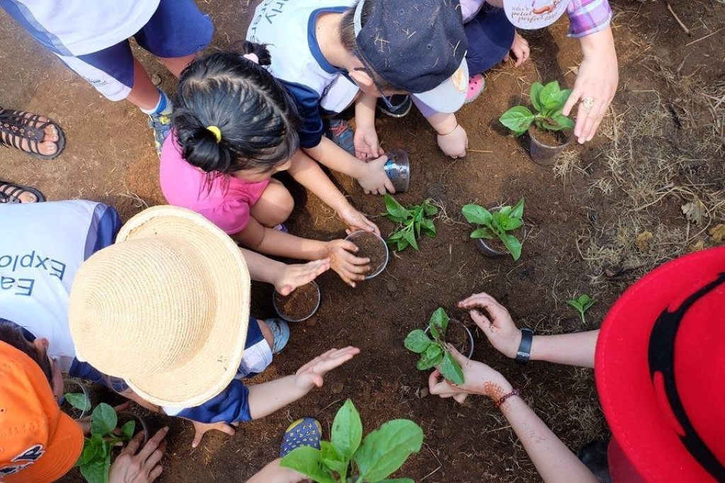 Hoạt động ngoại khóa giúp phát triển kỹ năng mềm và tư duy xã hội