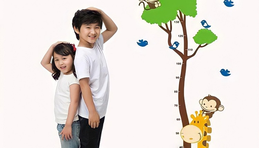 Chiều cao em bé cần được theo dõi đúng chuẩn từ sớm, đặc biệt ở các mốc chiều cao trẻ 2 tuổi 3 tuổi và chiều cao trẻ 10 tuổi.