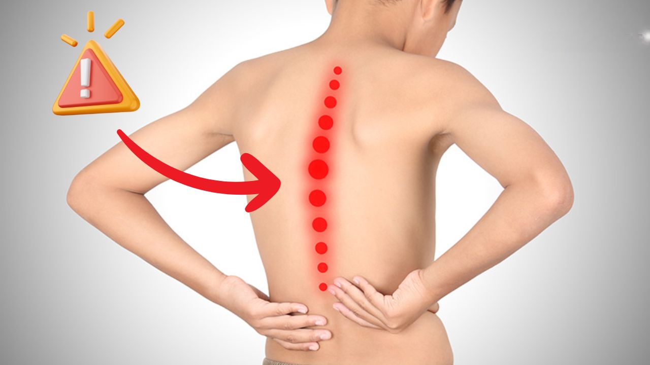 Cơ lưng giữa, bả vai và cơ lõi Cơ lưng giữa, bả vai và cơ lõi